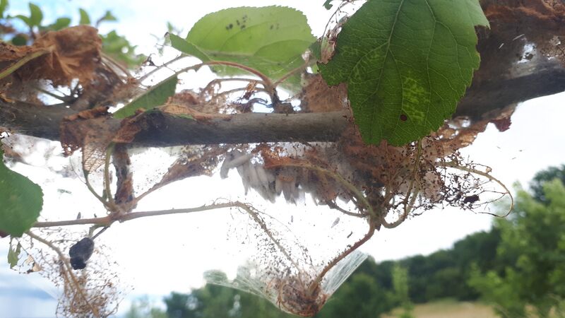 Datei:20220607 174736.jpg