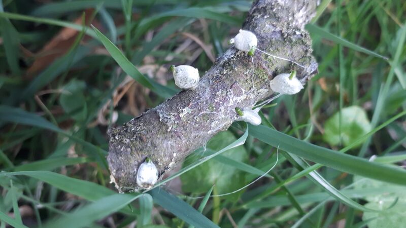 Datei:20220418 191324.jpg