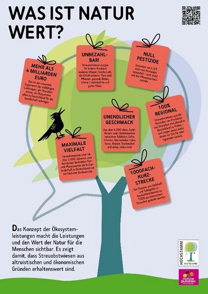 Datei:Picture2 ÖSL Plakat.jpg