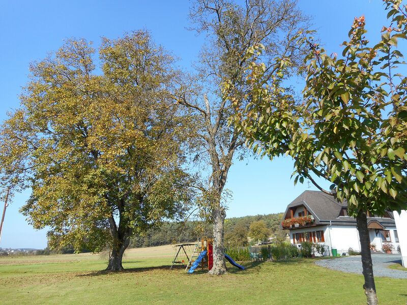Datei:Streuobst Hausgarten Spielgeräte Holler kompr.jpg