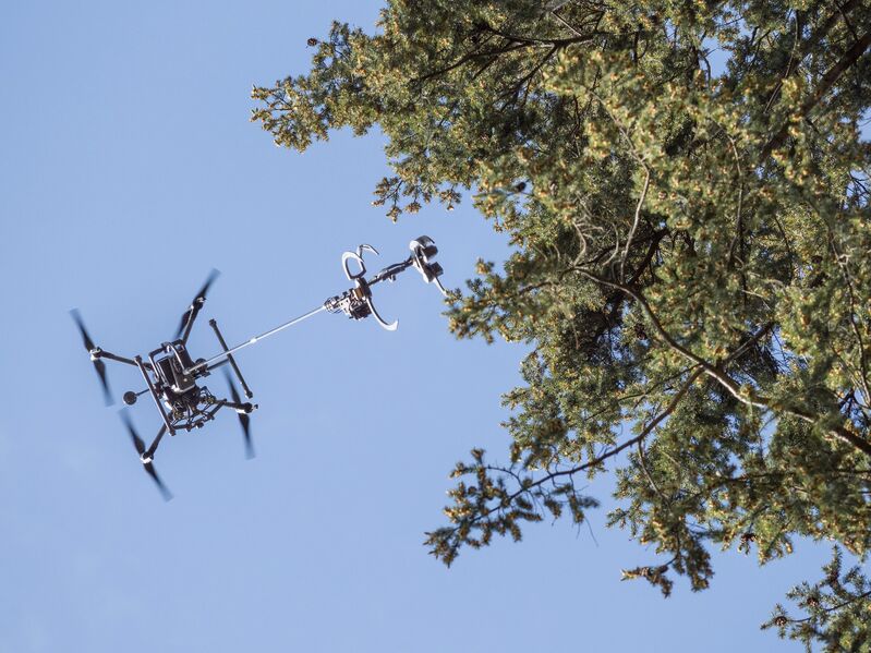 Datei:240423 Andreas Mueller AWG 0063.jpg