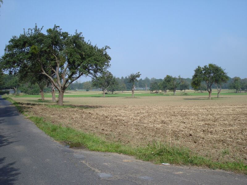 Datei:DSC00010 mitStreuobst.JPG