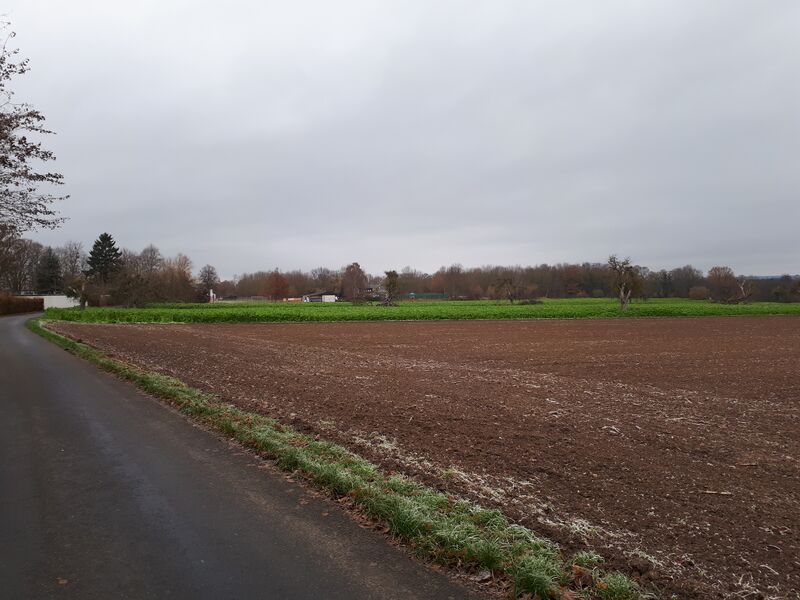 Datei:20191206 095134 ohneStreuobst.jpg