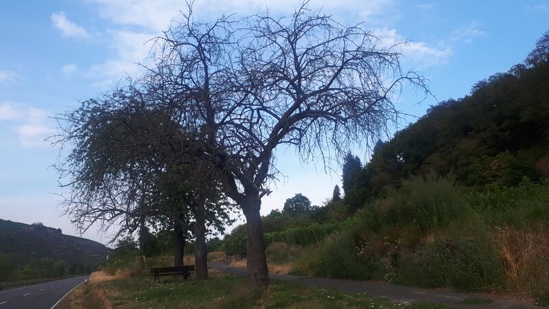 Datei:20220819 182606.jpg