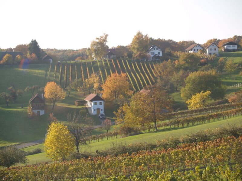 Datei:Streuobstbäume in Weingärten Holler.JPG