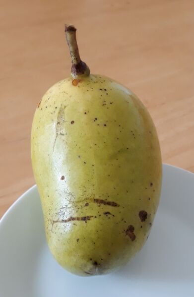 Datei:Indianerbanane Frucht Holler.jpg