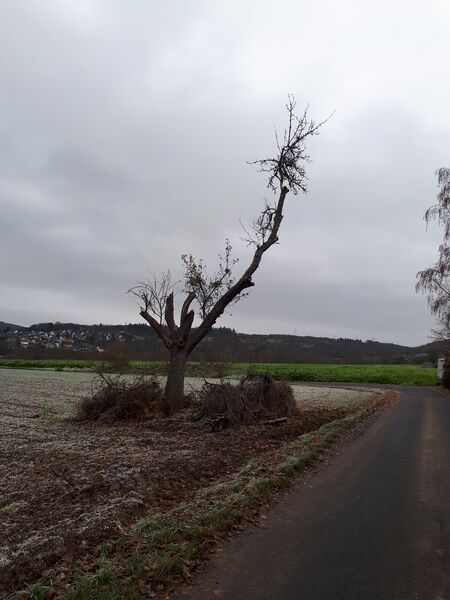 Datei:20191206 095122.jpg