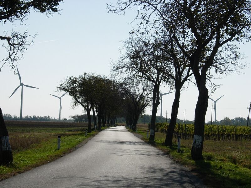 Datei:Walnuss Allee Windräder Holler.JPG
