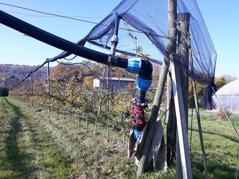 Datei:Bewässerung in Obstanlage Holler kompr.jpg
