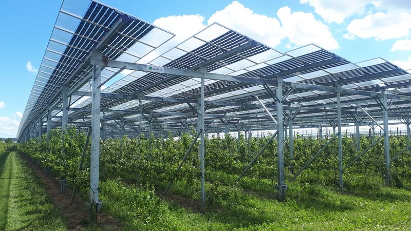 Datei:20220528 150756.jpg