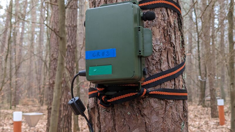 Datei:PXL 20230302 080246446.jpg