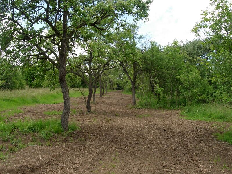 Datei:Rekultivierung Streuobstwiese Holler.JPG